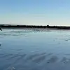Callie Jackson - @callie.jackson6 - TikTok