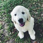 Callie Johnston - @calliemayjohnston - Instagram