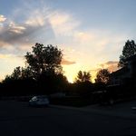 Callie Johnston - @johnston.callie - Instagram