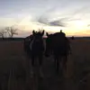 Callie - @callie.logan08 - TikTok
