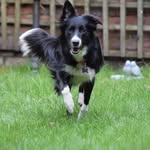callie - @callie.longlegs - Instagram