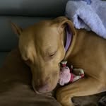 @callie_nicholson_2007 - Instagram