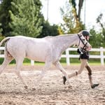 Callie Stevens - @callieandherpony - Instagram