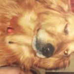 charlie and callie wiley - @charlie_and_callie - Instagram