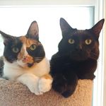 Wiley and Callie - @wiley_and_callie - Instagram