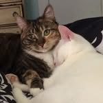 Callie D, Winter N, Autumn E - @callie__winter_loulou_4life - Instagram