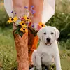 calliewray - @calliewray - TikTok