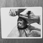 Callum McCartney Barber - @callmcc.hair - Instagram