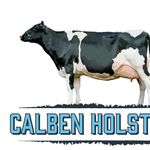 Callum Benson - @calbenholsteins - Instagram
