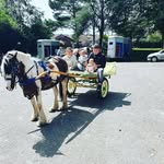Callum Carr - @callum_carr123 - Instagram