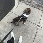Callum Casey - Facebook