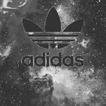 callum casey - @cllmcasy13 - Instagram