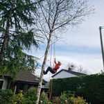 Callum Conway - @icallum.conway.57 - Instagram