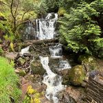 Callum Curry - @curry_callum - Instagram