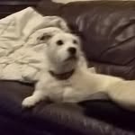 single - @callum_dunn_123456789 - Instagram