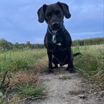 Callum Edwards - @callum_edwards - Instagram