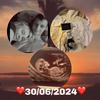 Callum Edwards - @callum.edwards5 - TikTok