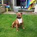 Callum Farmer - Facebook