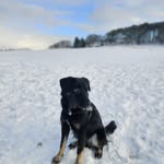 Callum Fuller - @callum.arthur.fuller2010 - Instagram