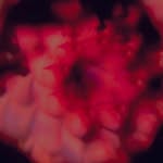 Callum Gallagher - @gallaghercallum - Instagram