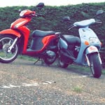 Callumgoodman1234 - @ixworth_peds - Instagram