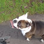 Callum Goodwin - @c_all_um_12 - Instagram