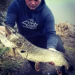 callum gregory - @gregorycallum35 - Instagram