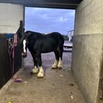 Callum Gregory - Facebook