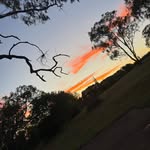 Callum grieve - @callum39939 - Instagram