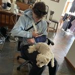 Callum Hall - Facebook