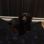 Callum Henry - @callum.henry.712 - Instagram
