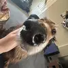 Callum Howe - @callum.howe5 - TikTok