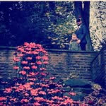 Callum Howe - @callumhowe_00 - Instagram