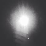 Callum Howe - @cpa___2 - Instagram