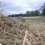 callum joyce - @wildlife_photography18 - Instagram