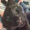callumjudd695 - @natrull_chill_fan - TikTok