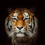 Callum Keith Flynn - @callum.k.flynn99 - Instagram