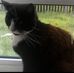 Callum King - Facebook