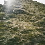 @callum__lang - Instagram