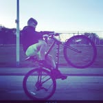 Callum - @callumlynch06 - Instagram