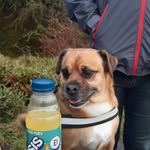 Callum maclean - @chally12311 - Instagram