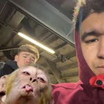 Callum Maclean - @callum_maclean11 - Instagram