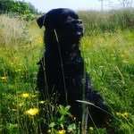 callum maloney - @callummaloney9786 - Instagram