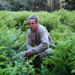 Callum McCarthy - @coffee_cal - Instagram