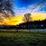 Callum Moore - @0callummoore - Instagram