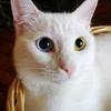 callum.roberts3 - @callum.roberts3 - TikTok