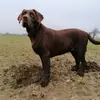 Martin - @martincallys - TikTok