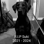 Callum Barton - Facebook