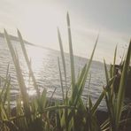 Calum Boyle - Facebook