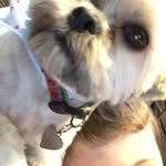 CALOOM - @calumchandler - Instagram